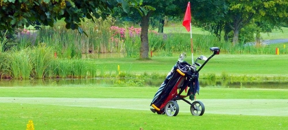 a golf bag in the course