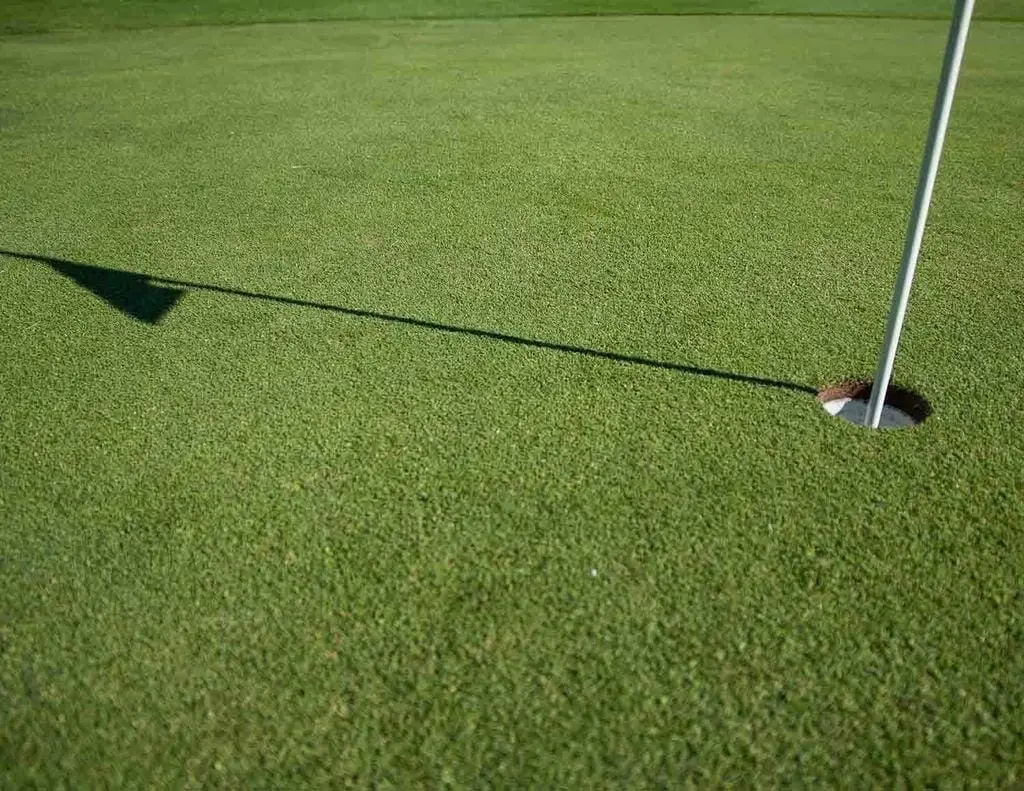 History of Golf