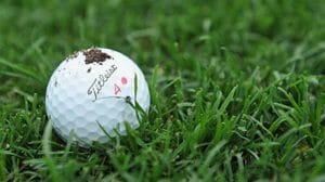 golf ball on a grass