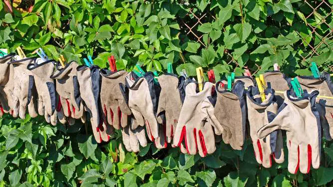 lined up golf gloves with hanging clip