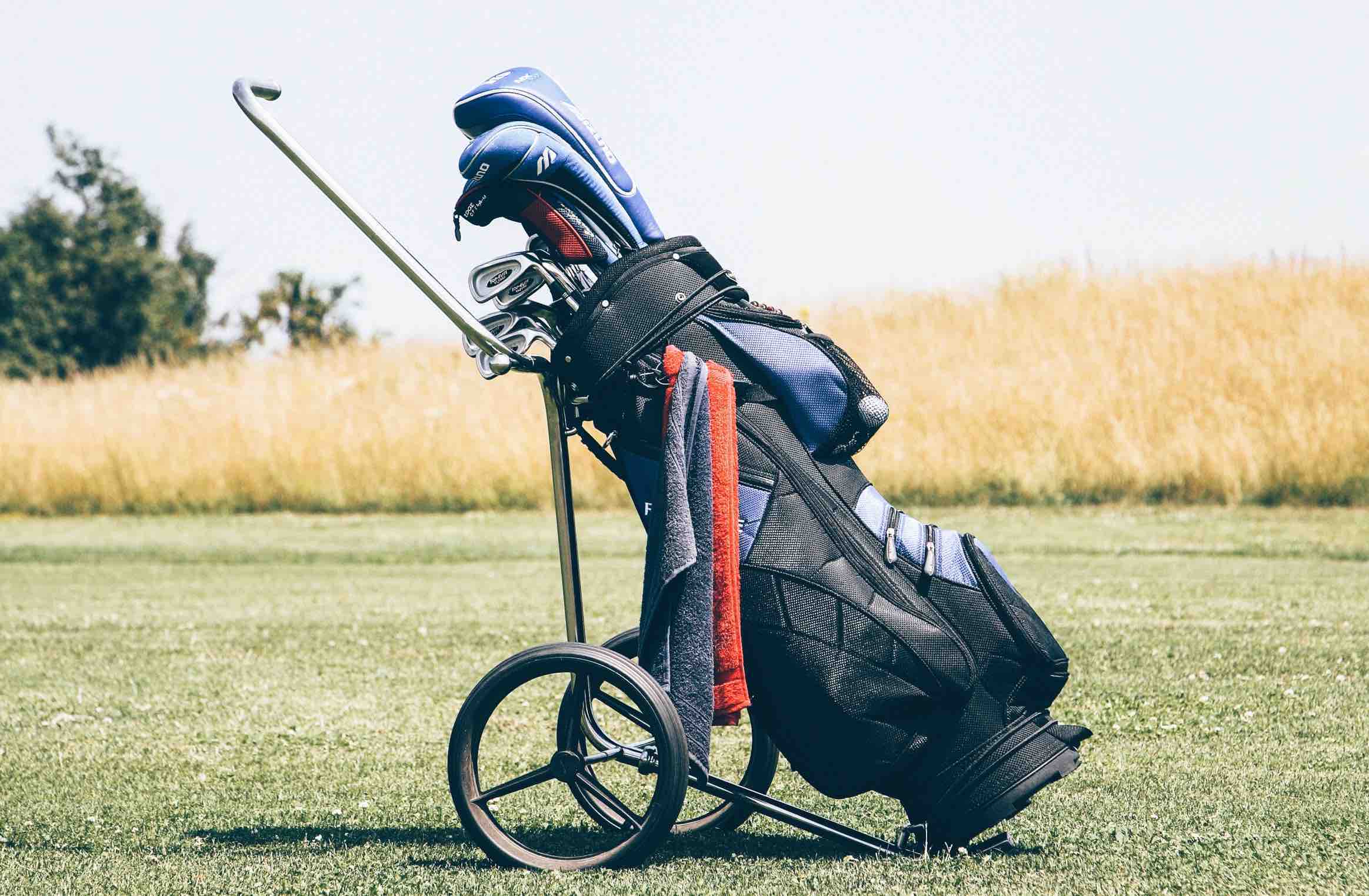 golfbag with push cart